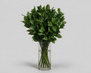 Пачка из 10 ветвей рускуса  small - 2