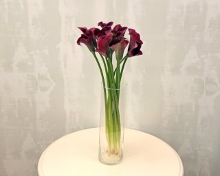 Каллы бордовые  small - 1