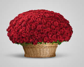Корзина цветов из 1001 розы Эквадор 60-70 см  small - 1
