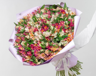 Букет из 101 альстромерии нежный микс в стильной упаковке  small - 1