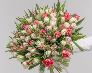 Букет из 101 тюльпана пионовидного микс под ленту  small - 1