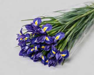 Пачка из 15 синих ирисов  small - 1