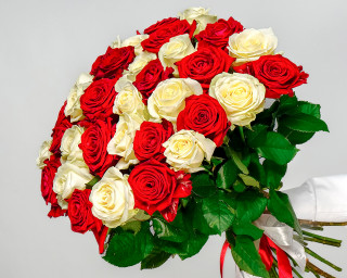 Букет из 35 белых и красных роз (Россия) под атласную ленту  35-40см small - 1