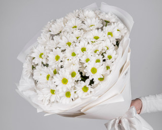 Букет из хризантем Бакарди в стильной упаковке      9 шт small - 1