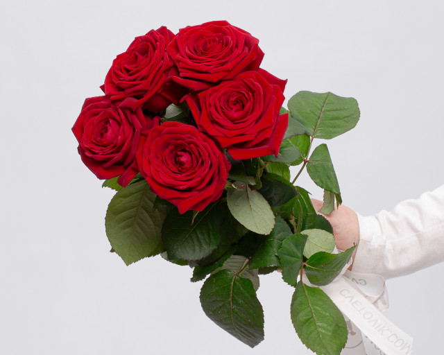 Букет из красных роз 50-60 см (Россия) под атласную ленту      5 шт - 1