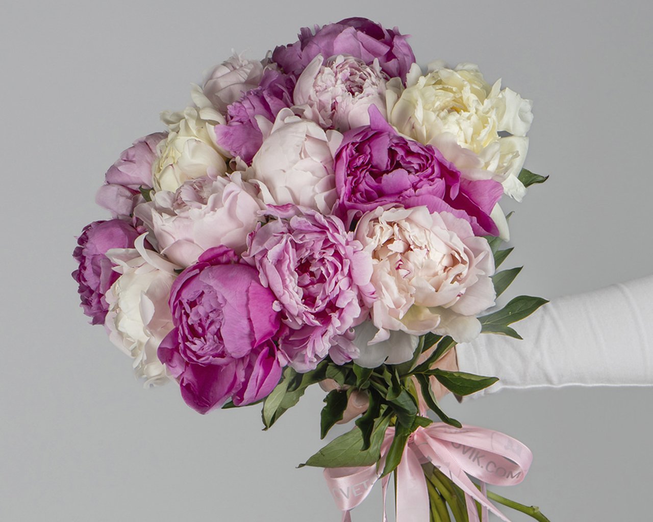Букет из пионов микс (Сара Бернар) под ленту 15 шт - 2