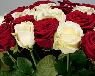 Букет из 35 белых и красных роз (Россия) под атласную ленту  35-40см small - 3