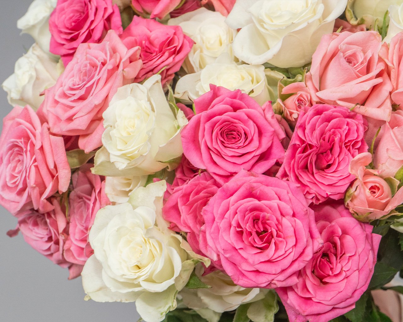 Букет из кустовых роз нежный микс 40 см (Кения) под ленту      11 шт - 4