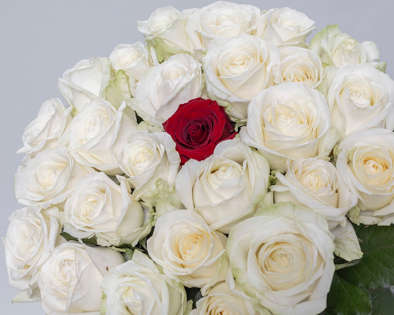 Букет из розы 50-60 см (Россия) с красной розой в центре под ленту 25 шт - 4