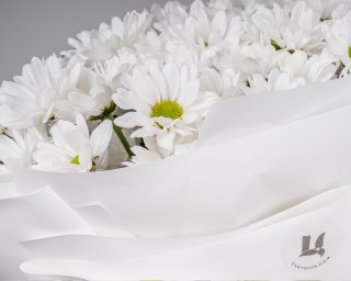 Букет из хризантем Бакарди в стильной упаковке      9 шт small - 3