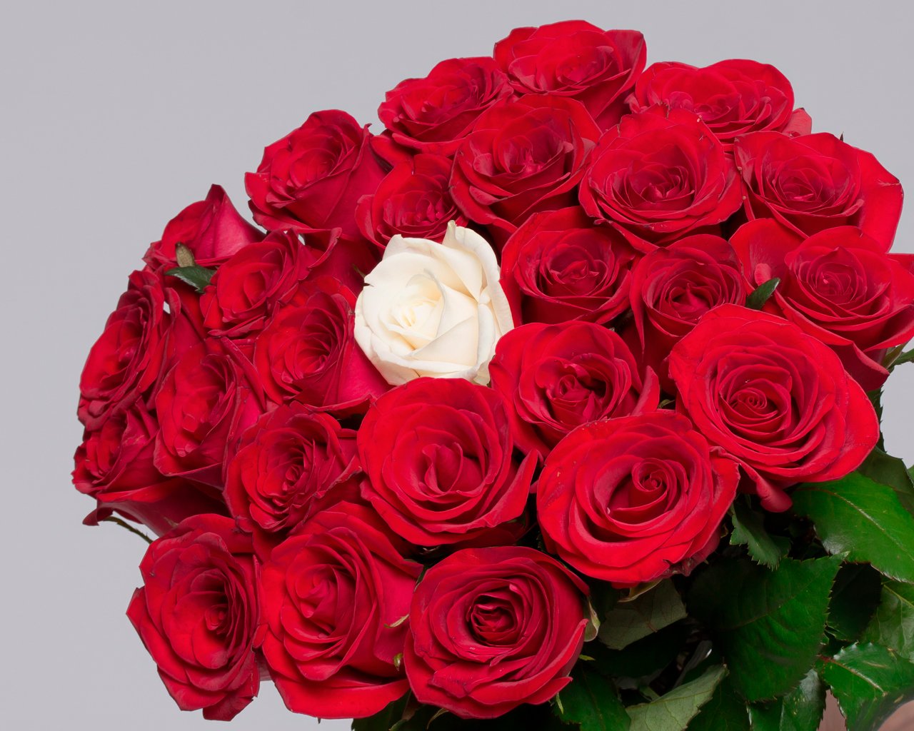 Букет из красных розы 35-40 см (Россия) с белой розой в центре    25 шт - 4