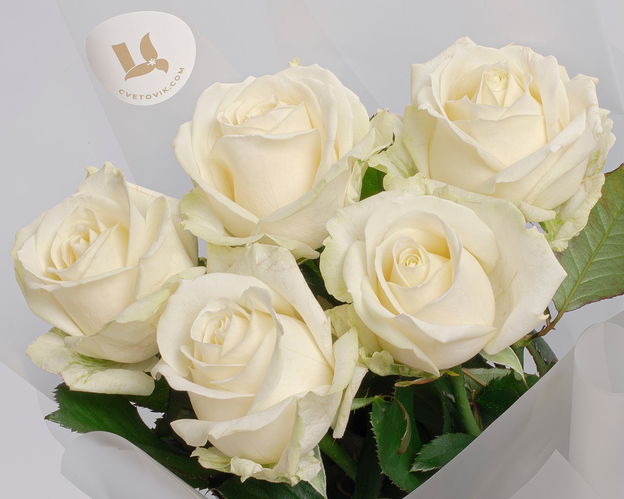 Букет из белых роз 50-60 см (Россия) в упаковке    5 шт - 4