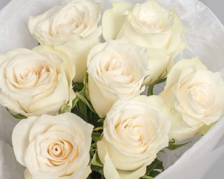 Букет из белых роз 35-40 см (Кения) в упаковке       7 шт small - 4