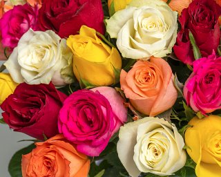 Букет из роз яркий микс 35-40 см (Кения) под атласную ленту    35 шт small - 4