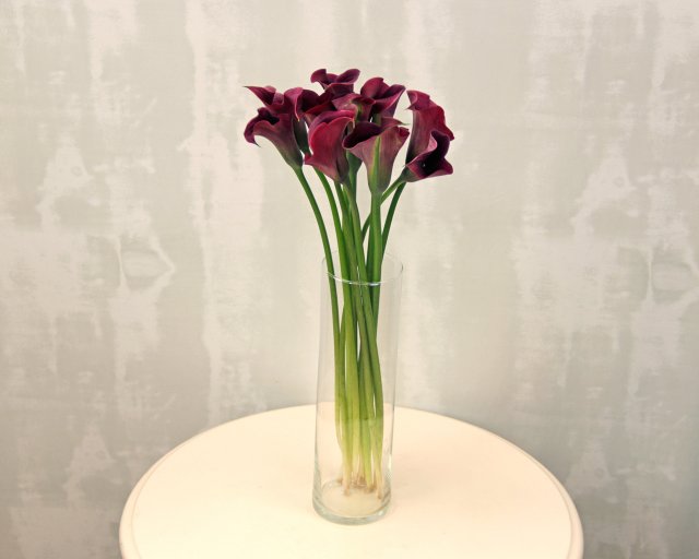 Каллы бордовые  - 1