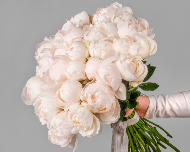 Букет из 25 белых пионов (Premium) под ленту - 1