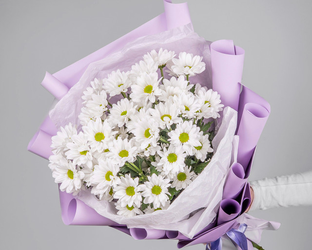 Букет из 5 хризантем Бакарди в стильной упаковке  - 1