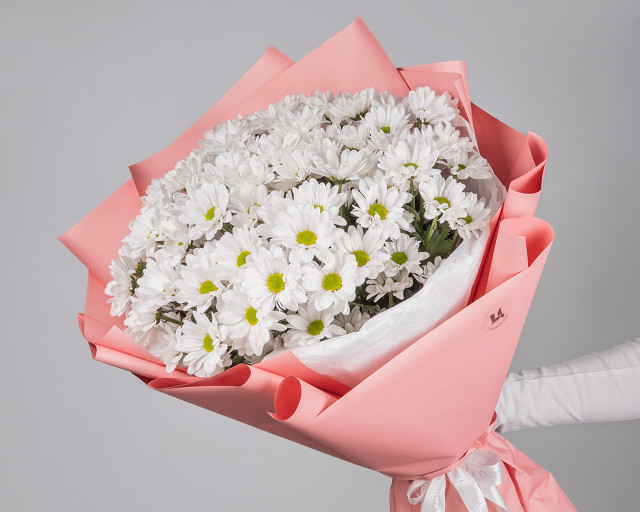 Букет из 11 хризантем Бакарди в стильной упаковке  - 1