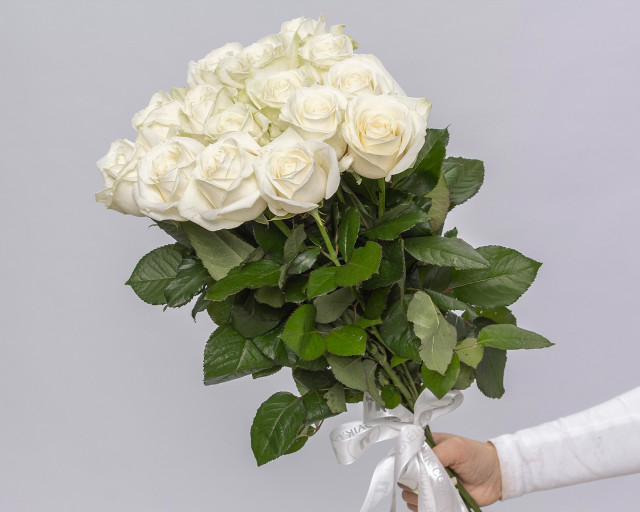 Букет из 15 белых роз 50-60 см (Россия) под атласную ленту - 1