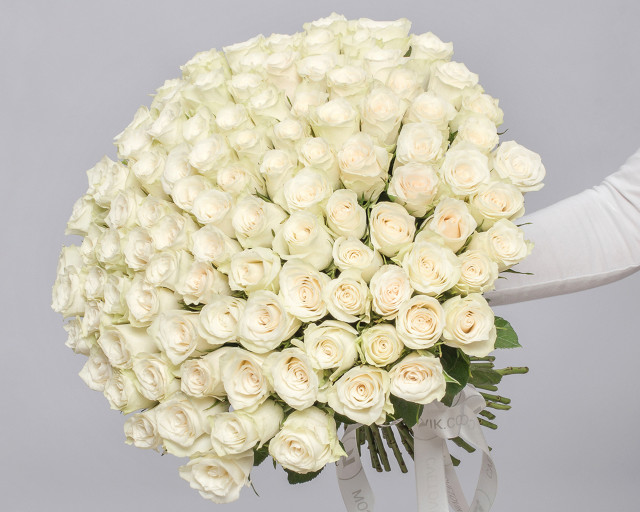 Букет из 101 белой розы (Кения) 35-40 см под ленту  - 1
