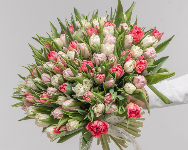 Букет из 101 тюльпана пионовидного микс под ленту - 1