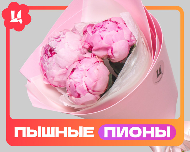 Букет из 3 розовых пионов (Премиум) в упаковке  - 1